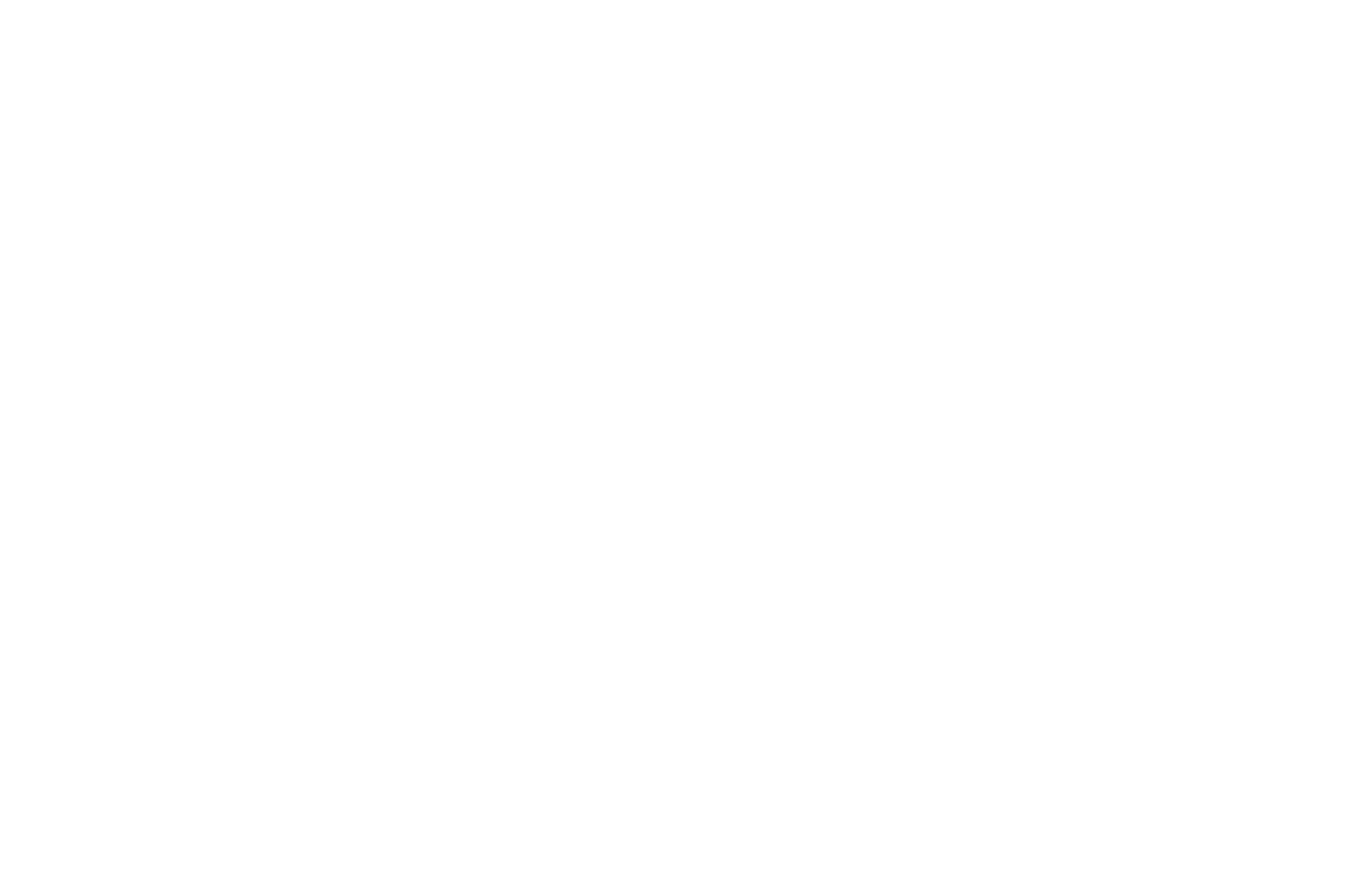 white satelink logo